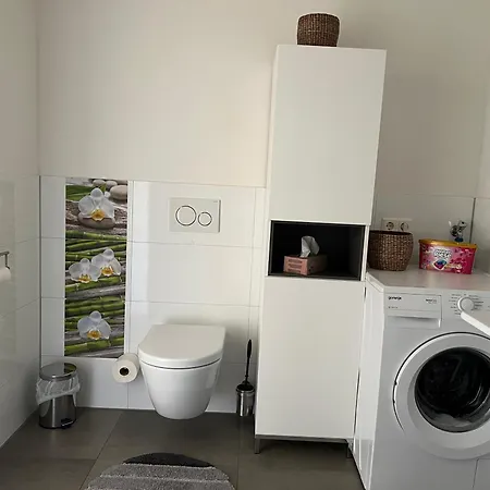 2 Zi-apartment Fauser Echterdingen-messe 莱恩费尔登埃希特登